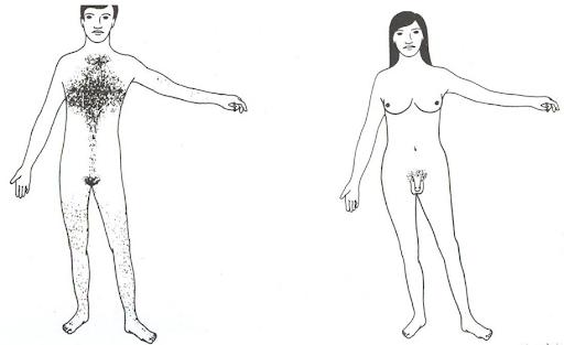 性别从来不是界限,性别从来不是分界线