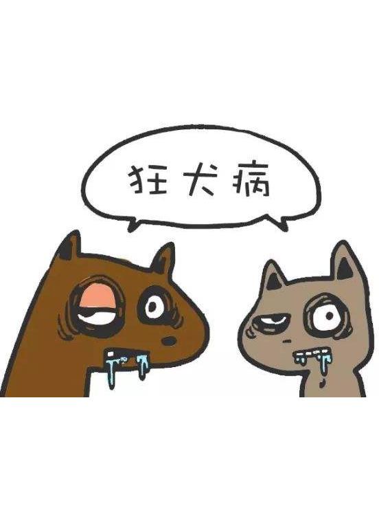 狂犬病的奇谈怪论,关于狂犬病的哲学思考