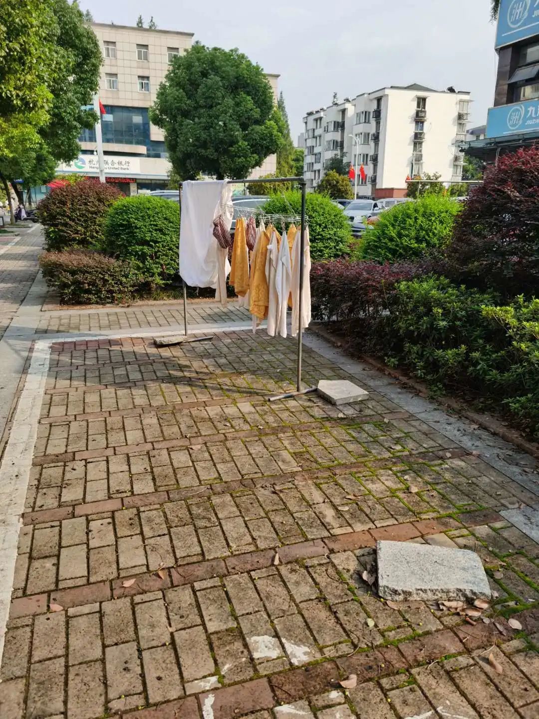 举报违法违纪行为范文,注意这些行为可能会毁掉你的孩子