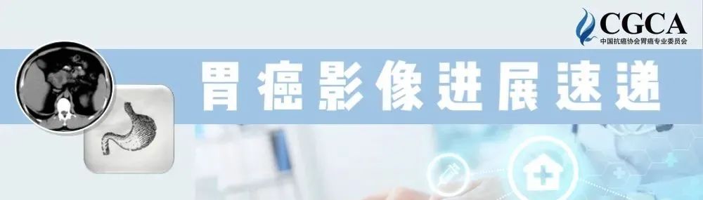 胃癌ca期,胃癌影像分析