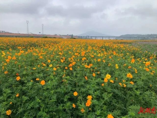 中秋国庆文旅活动发布,文旅大餐迎中秋演出活动都在这里