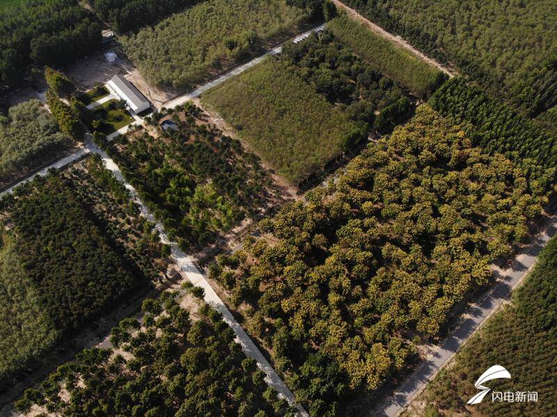 济南助力北跨,中建八局济南二公司最新中标项目