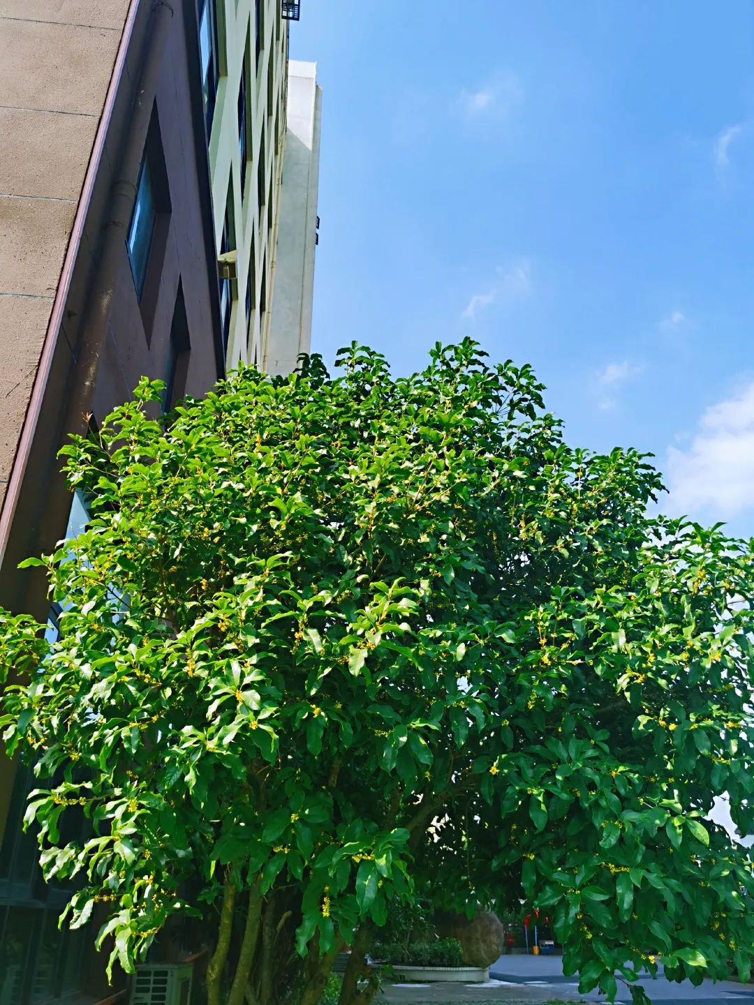 滨江多思创新学校,滨江学校全部排名