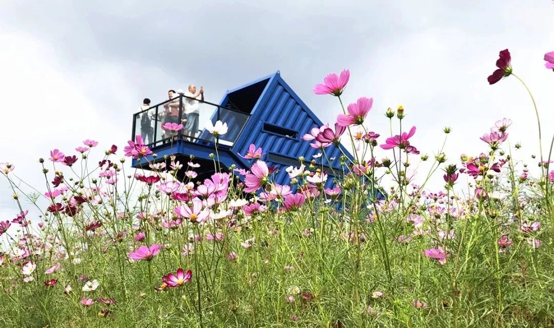 今天，中秋邂逅国庆！拱墅一身“红妆”一城月色，映照万千团圆至味！