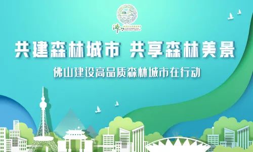 太酷了！佛山这群足球少年登上学习强国全国平台