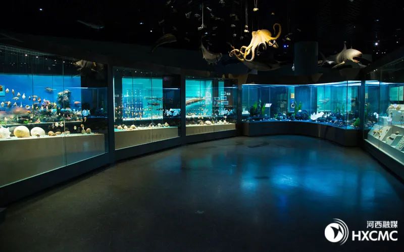 河西游玩地点推荐,河西周末游