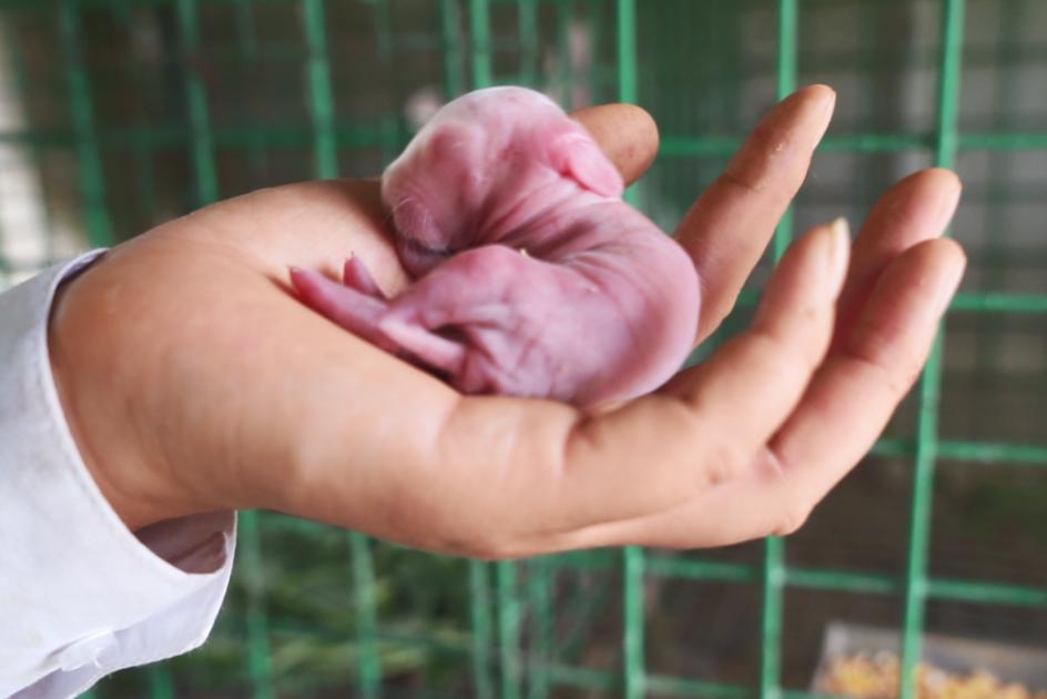 孙俪周冬雨angelababy,孙俪angelababy邓超