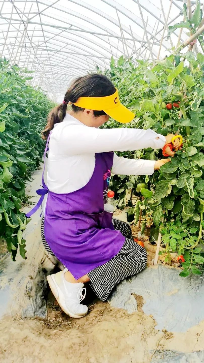 孙俪周冬雨angelababy,孙俪angelababy邓超