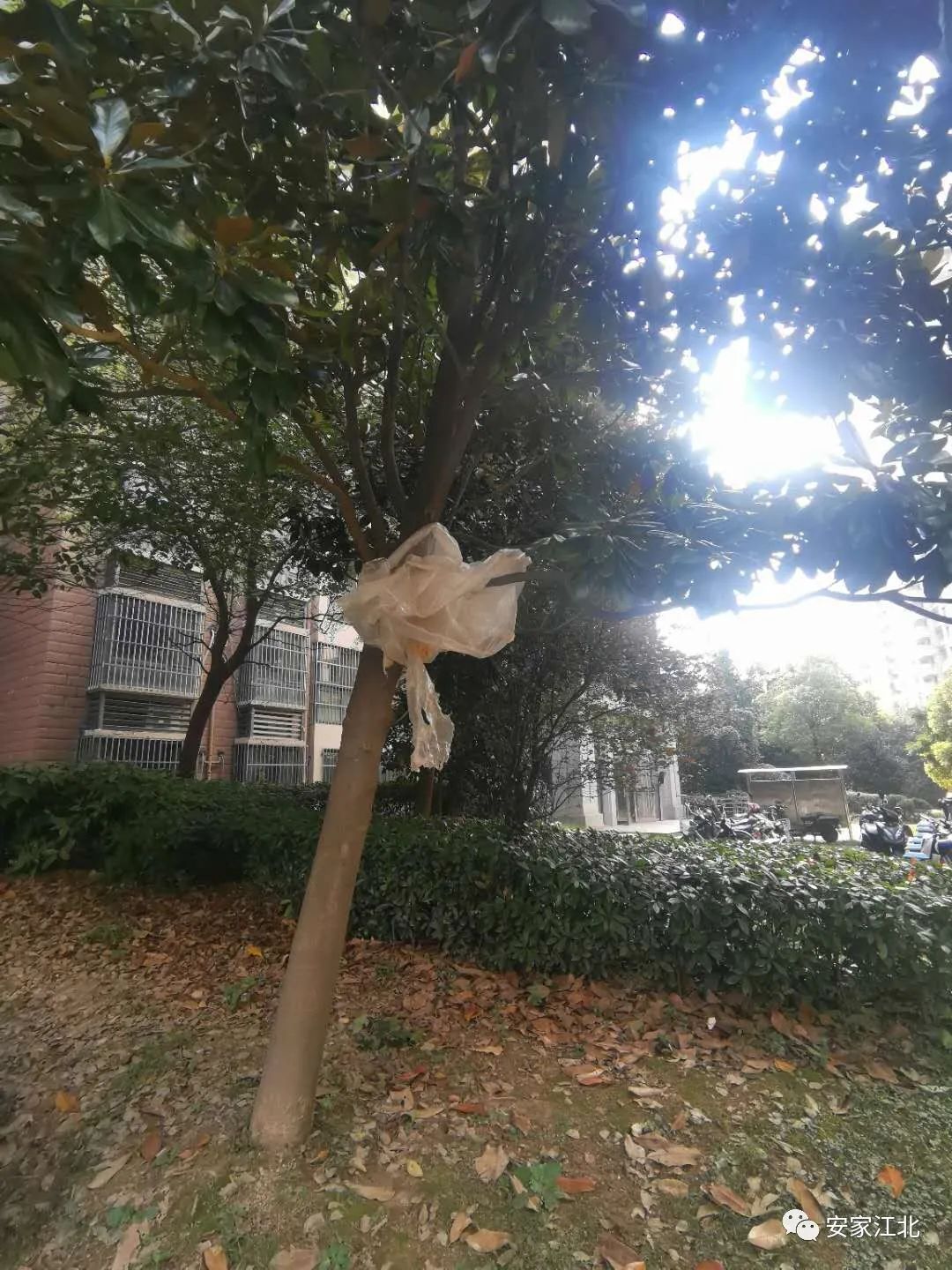 一墙之隔房价,一墙之隔价格相差几千一平怎么选