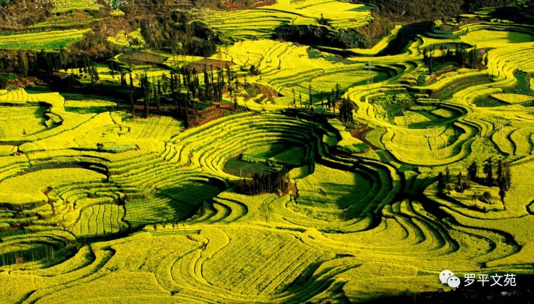 黄永国,黄永国艺术签名设计