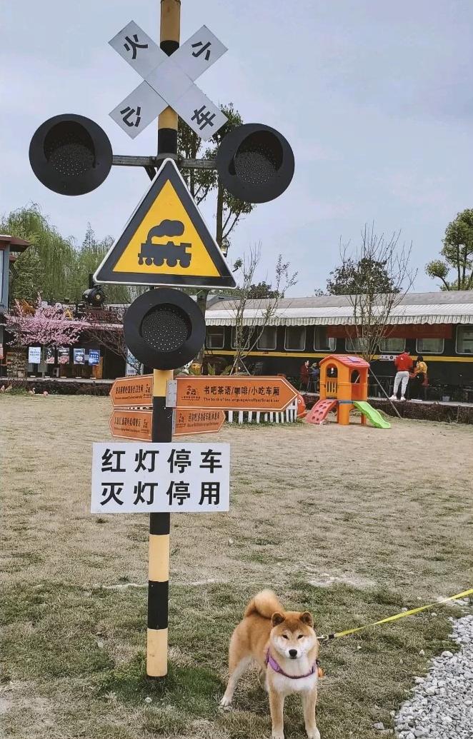 5条乡村游路线等你来打卡,国庆节乡村旅游打卡