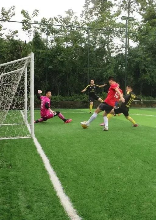 青白江足球场推荐,青白江特色风景