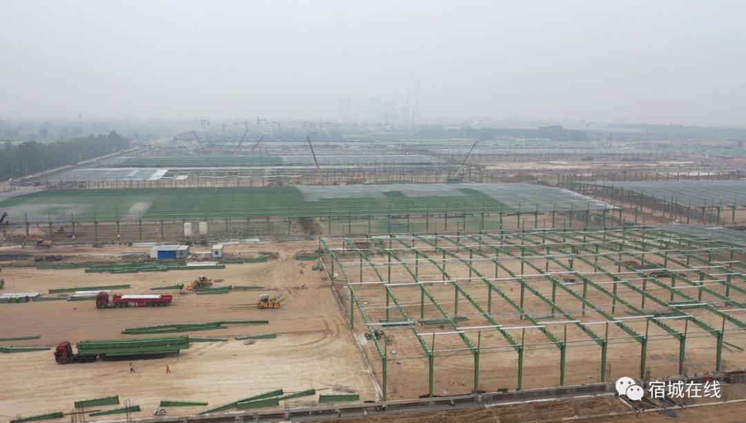 “三学三比”中乘风破浪的宿城人(15)