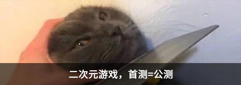 ios网吧模拟器,ios版本网吧模拟器