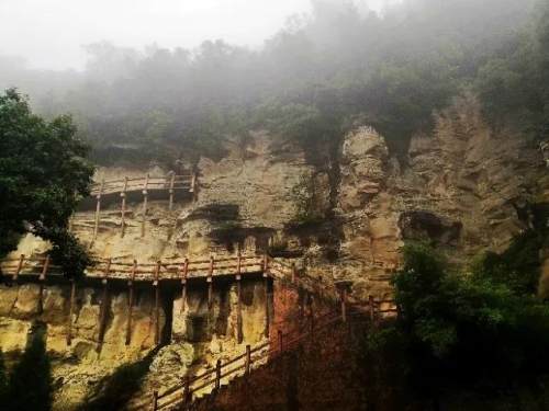 好文推荐作者文笔很好,好文荐读