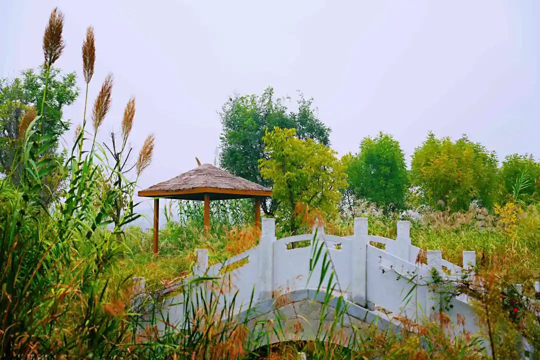 秋光如画，让我们一起“点亮”阎良的诗意秋凉~