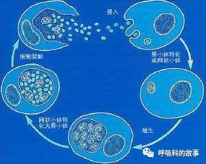 铁蛋白高可能是哪种肿瘤,铁蛋白升高与牙病有关吗