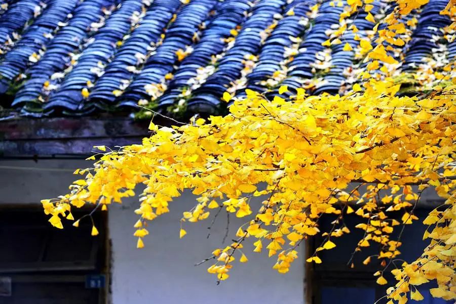 最新太阳雨消息,太阳雨最新消息今天
