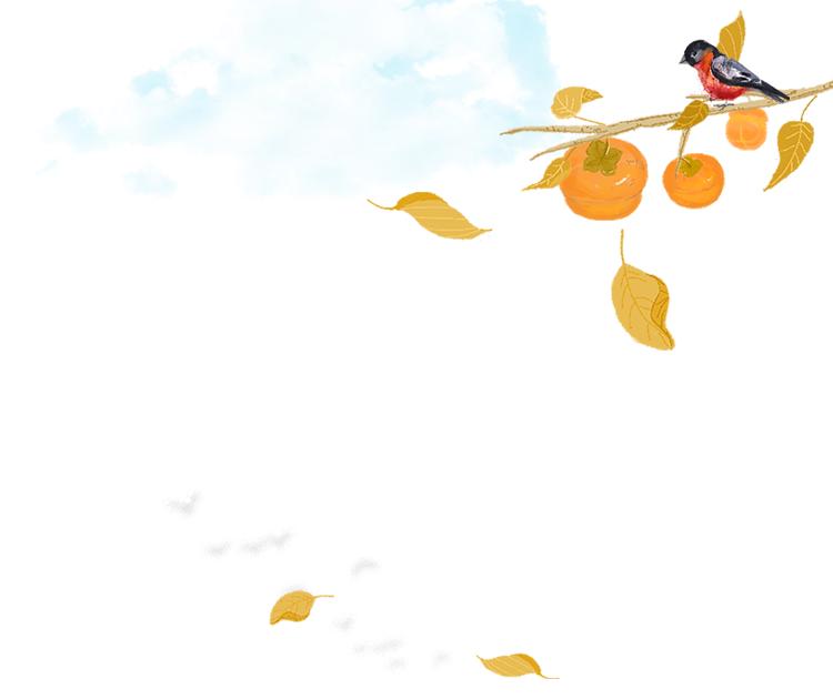 肥城膏方养生节 (肥城膏方节什么时候开幕)