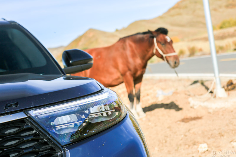 福特探险者去西藏旅游的真实体验,福特探险者用探险犒赏人生