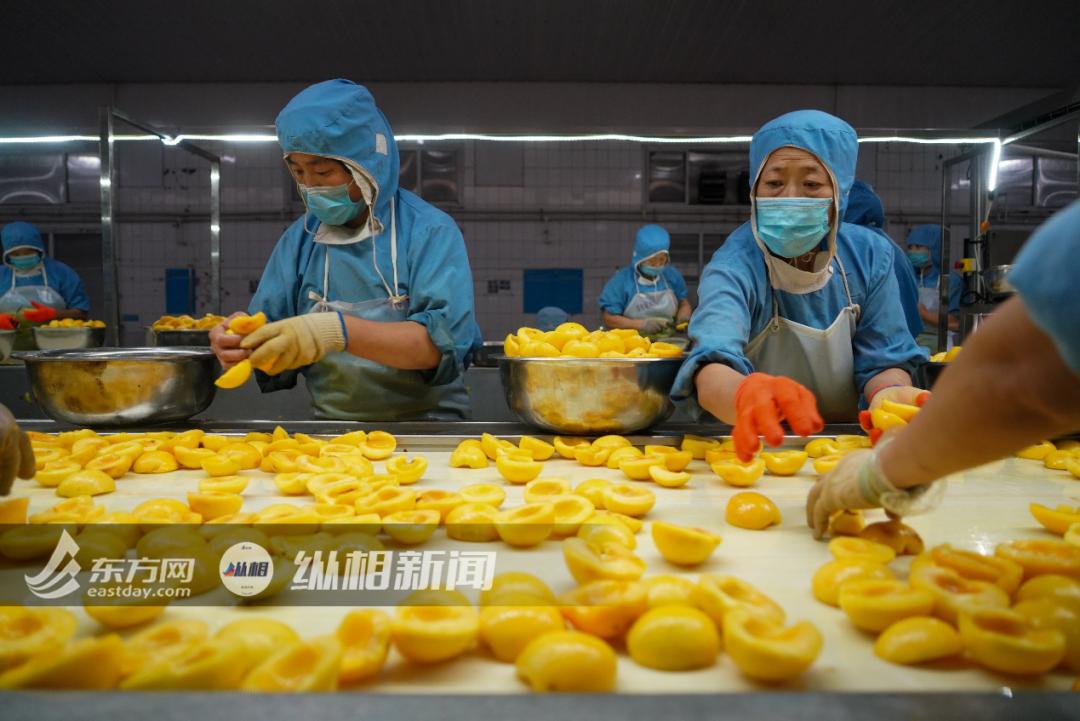 中国十大企业罐头厂排名,中国罐头行业发展史