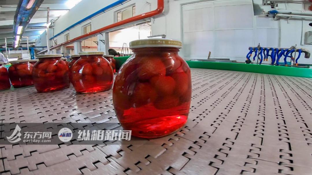 中国十大企业罐头厂排名,中国罐头行业发展史