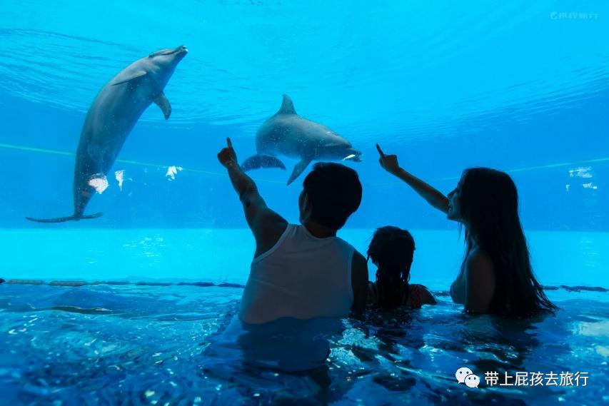 长隆选哪个酒店,广州长隆怎么选酒店