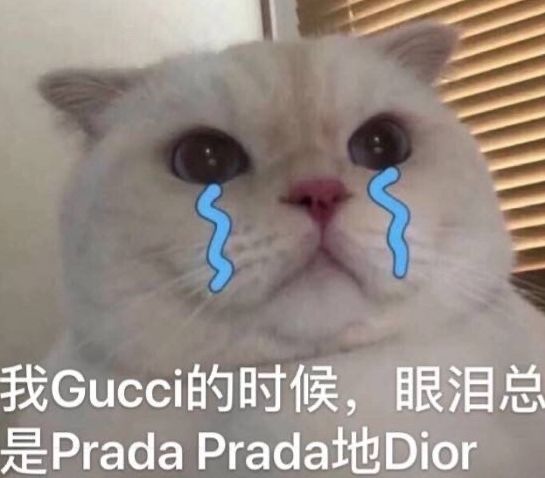 BAO料｜Gucci都出泡面了，LV的螺狮粉还会远吗？