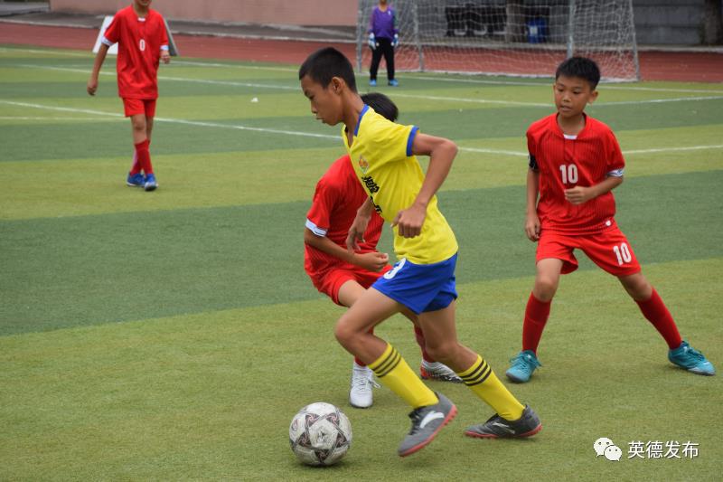 英德新闻新学校,英德新闻头条今天新闻