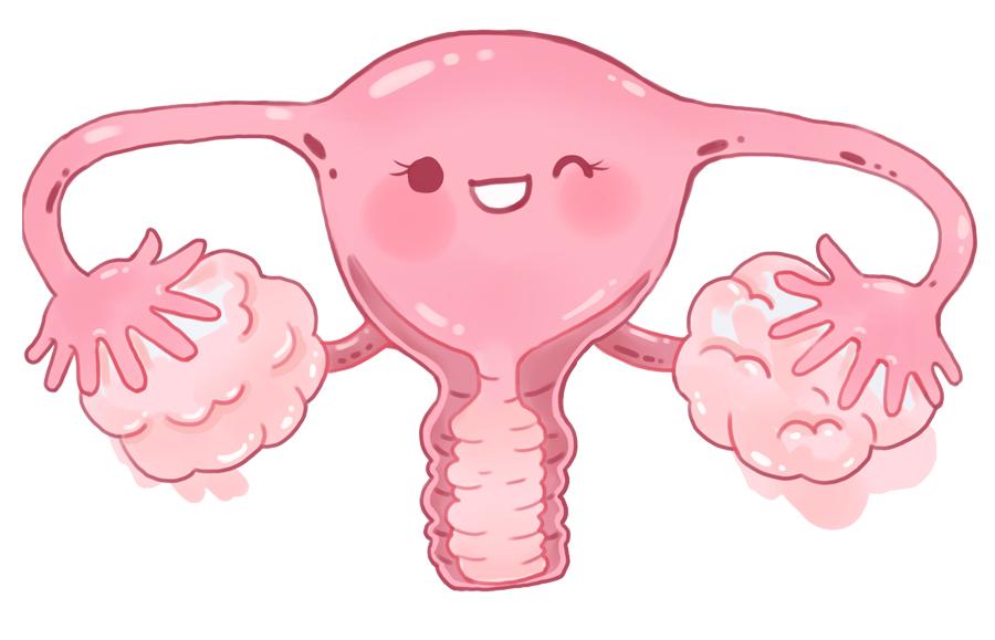 月经正常不孕不育的原因有哪些,不孕不育月经一定不规律吗