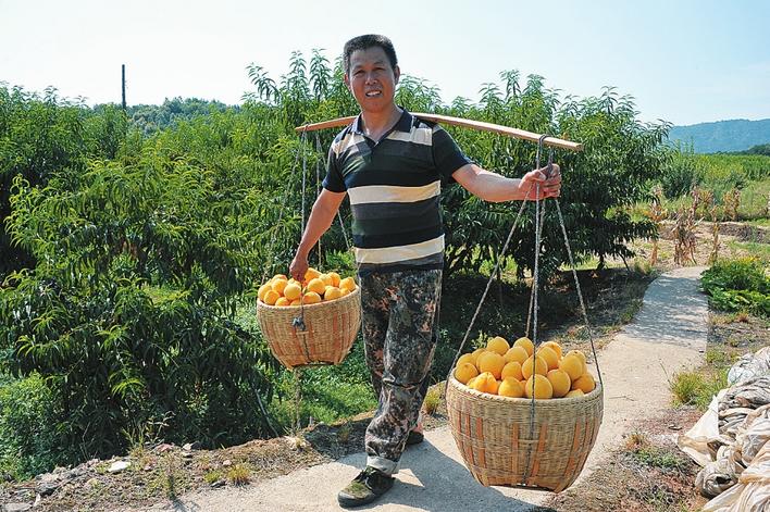 坚决啃下硬骨头下集,坚决打赢攻坚持久战