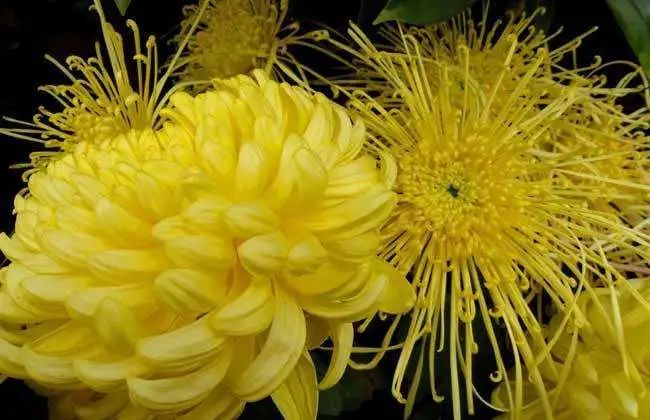 重阳关爱老人暖人心,重阳节陪伴是最好的孝心