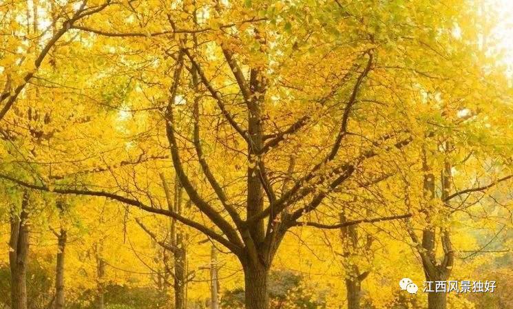 富华山景区,富华山美景