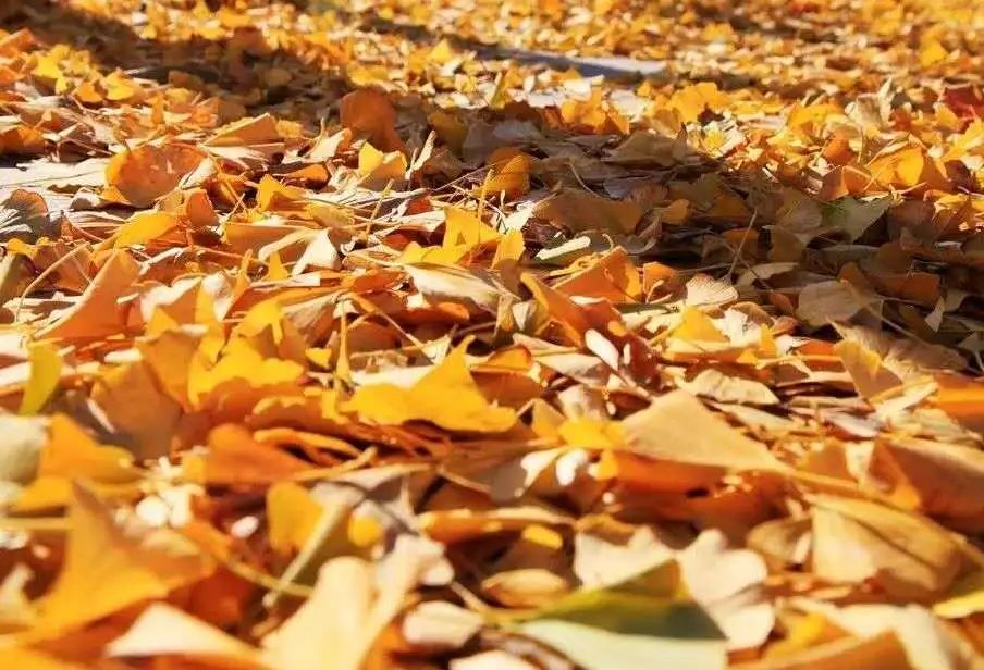 赏秋小众景点推荐,川西赏秋旅游景点