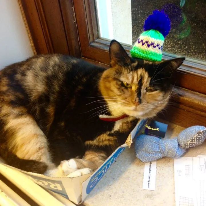 每年冬天，这群人为什么要给果汁瓶戴上毛线小帽？