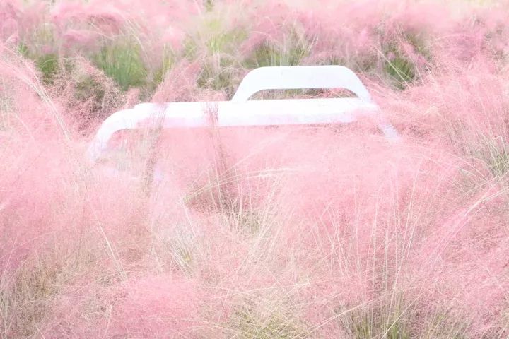 成都1100个公园俯瞰,成都100个公园规划图