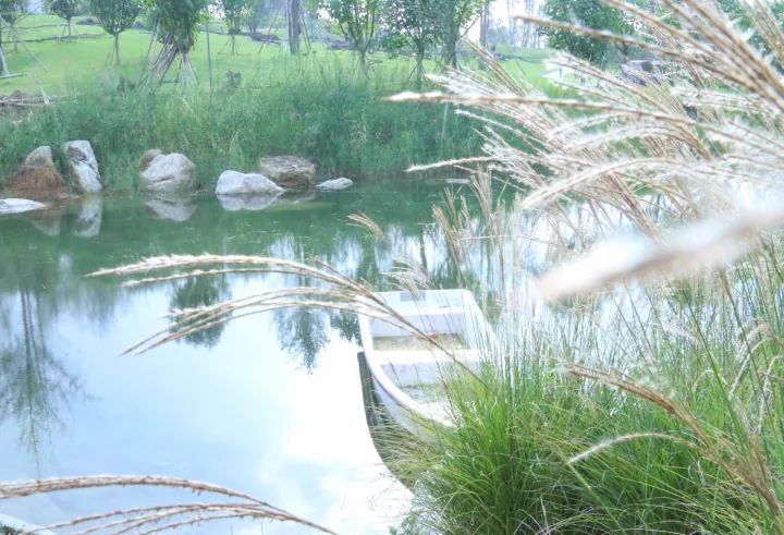 成都100种美景图片,航拍中国成都十大风景区