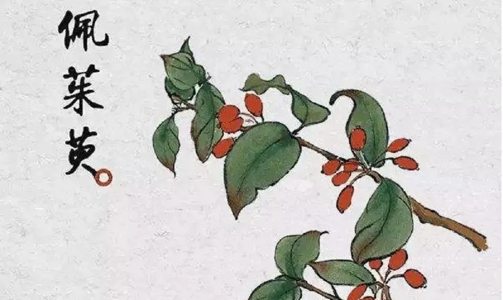 又是一年的重阳节祝大家节日快乐,不忘初心九九重阳节