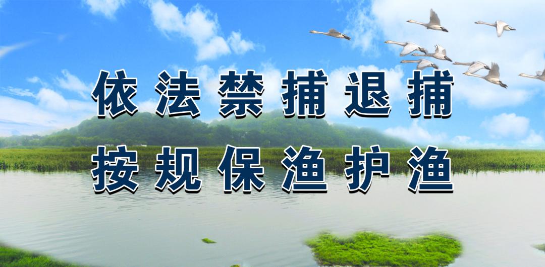 孔令强新闻发布会视频,区委副书记孔令强开展巡河