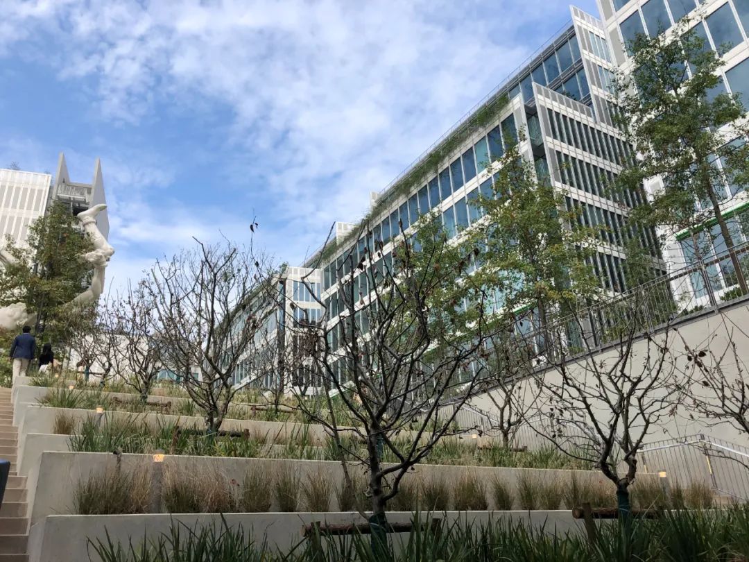 探店上海首家茑屋书店遇见一家,提前探店上海首家茑屋书店将开业