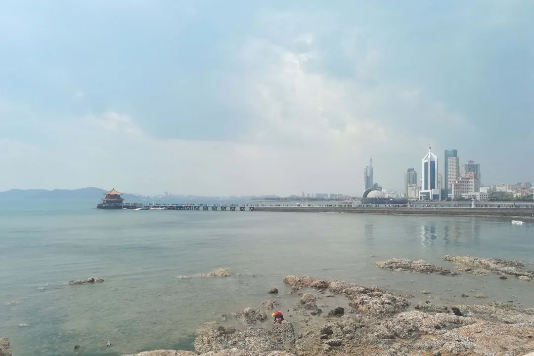 什么是青岛的象征,什么是青岛