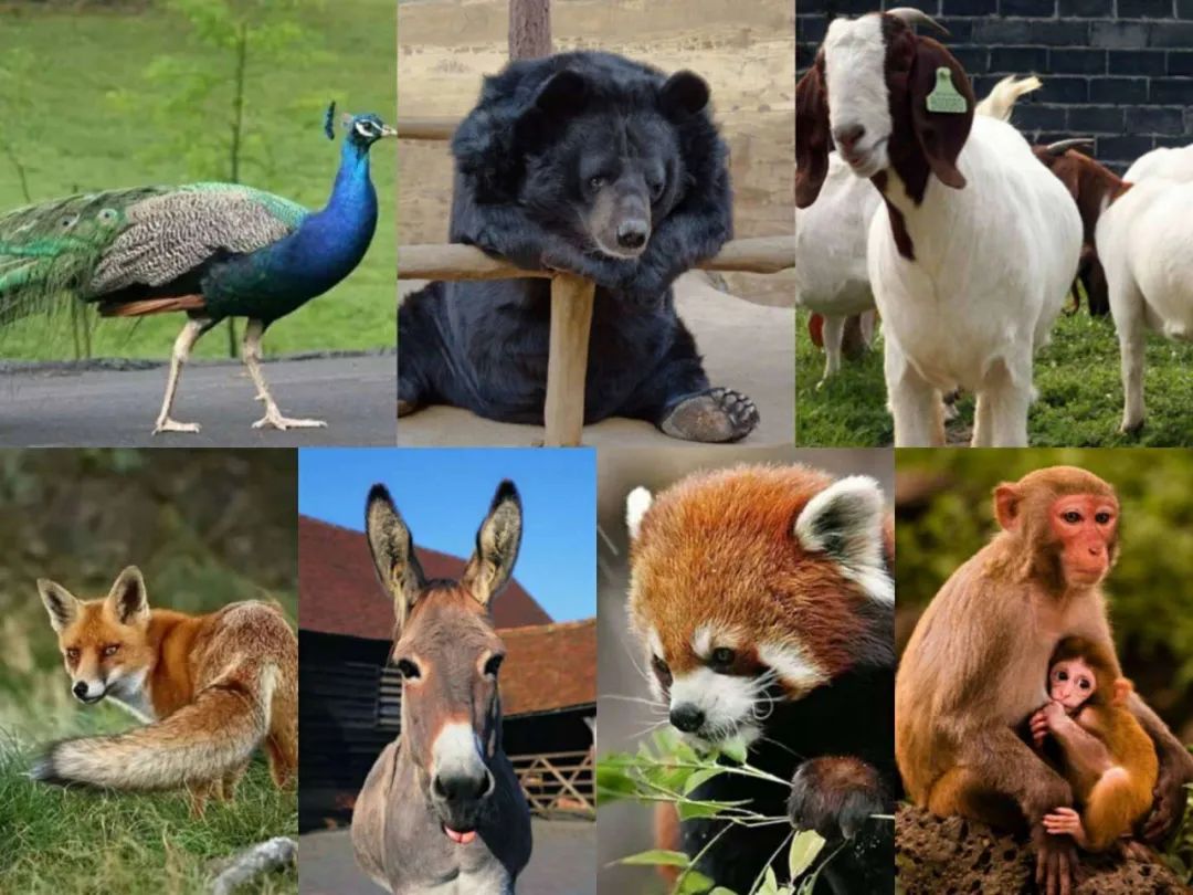 打工人必看的信息,打工人必看系列