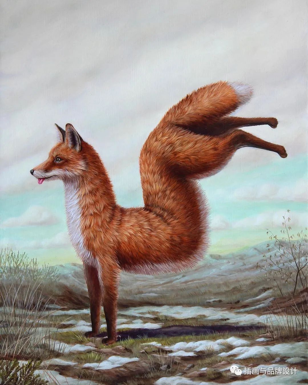 荒诞极端插画,荒诞主义插画