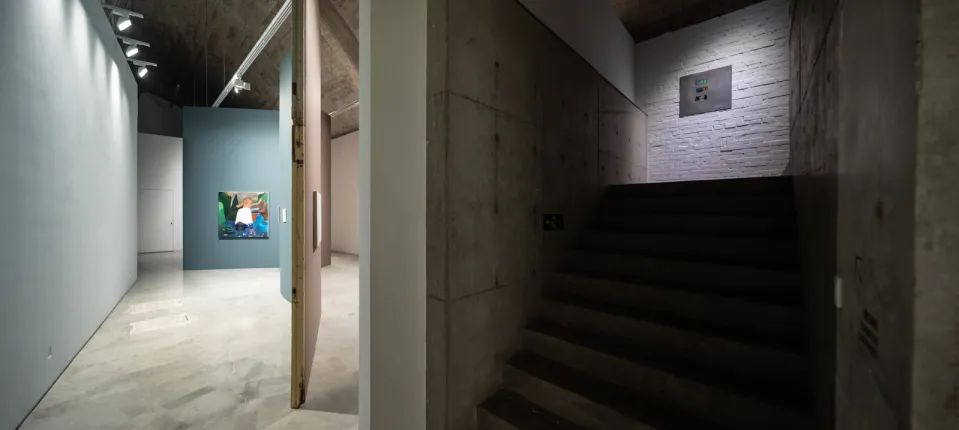 凤凰艺术直播录像,凤凰艺术展览视频