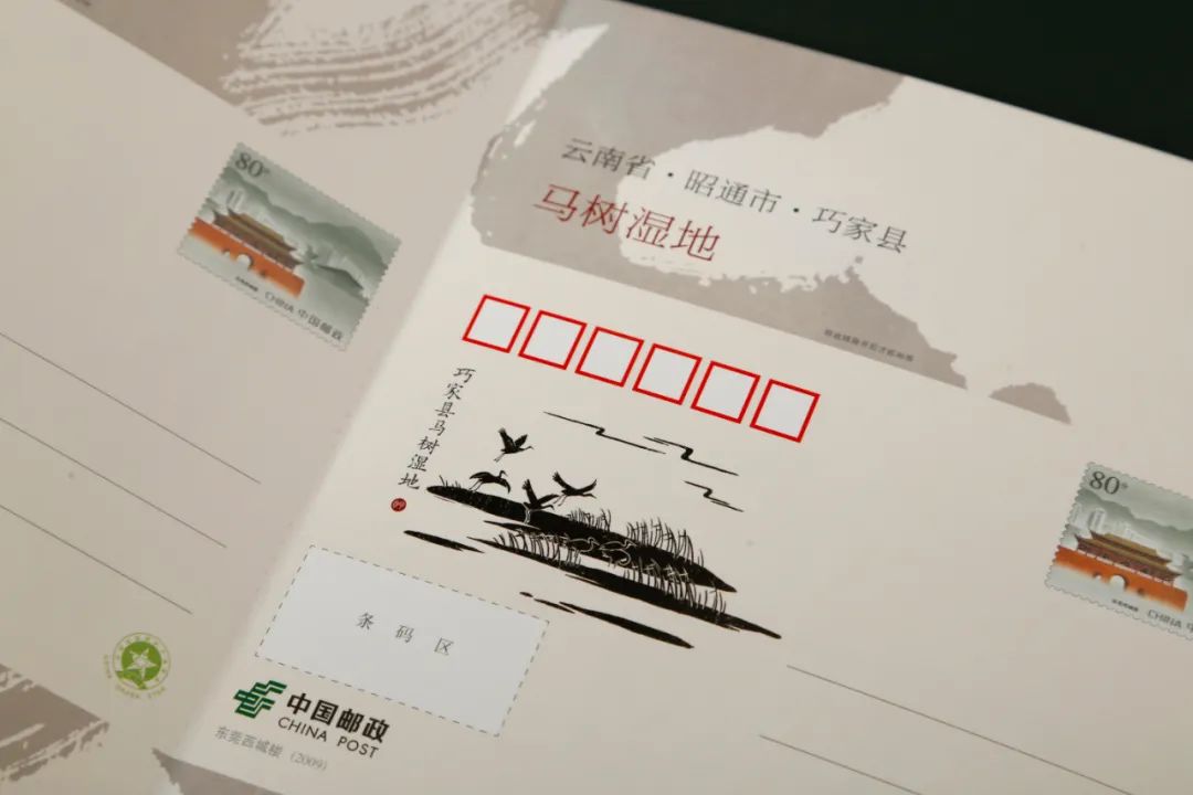 东方巧克力,东方巧克力滋补养生