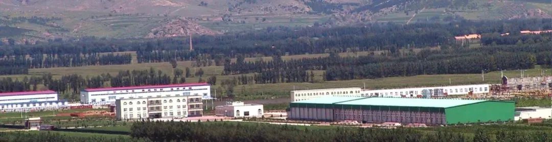 内蒙古赤峰天山的牛,通辽的牛和赤峰的牛区别