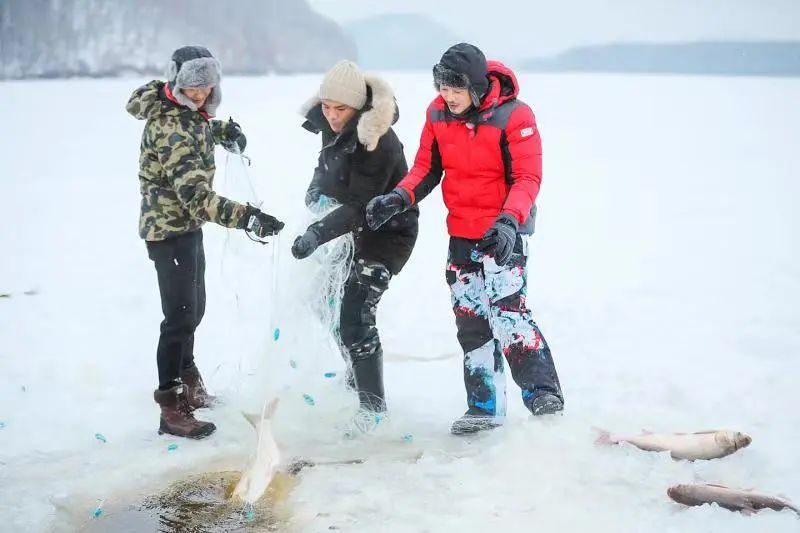 welcometo东北现场,伊春旅游直播间