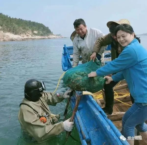 烟台精品野海参多少钱,荣成海洋牧场海参