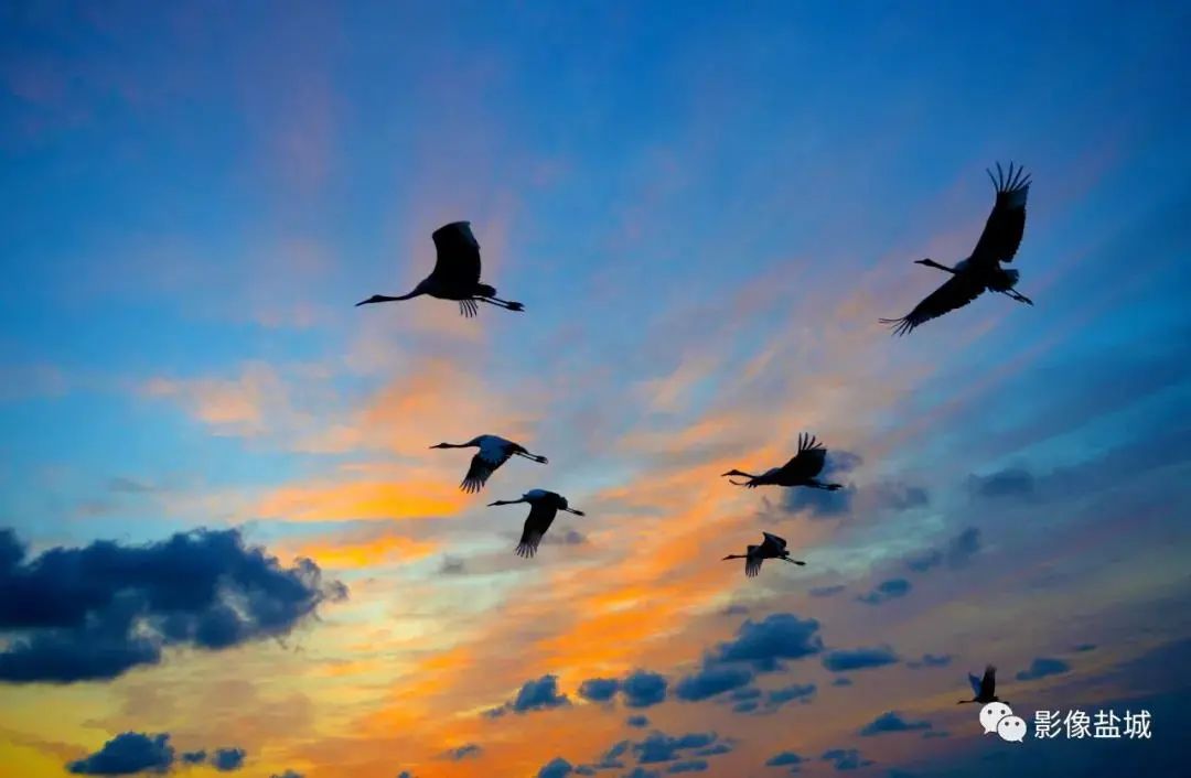 盐城发色,盐城代表颜色