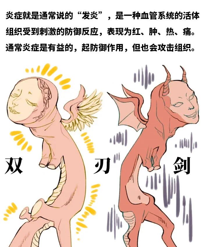 鲁威渔医号丨肺“肿了”怎么办？